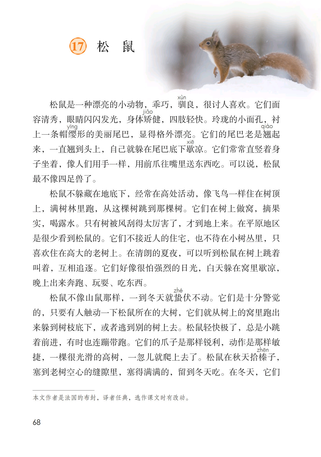 五年级语文上册-课文17 松鼠(P68-P70)